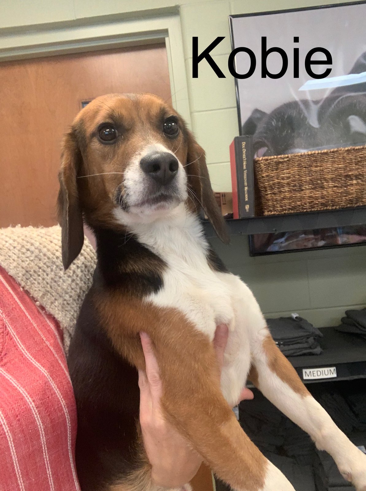 Kobie