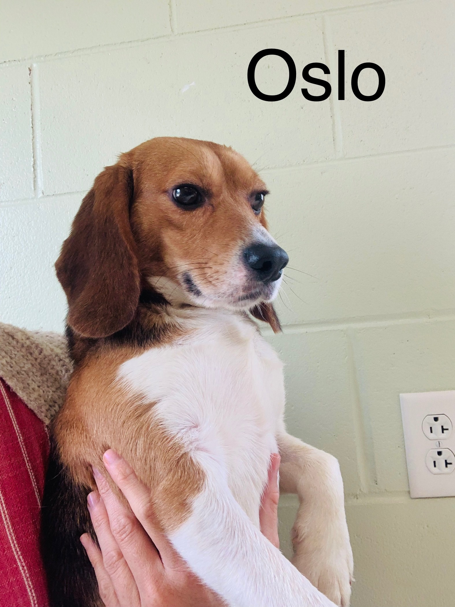 Oslo